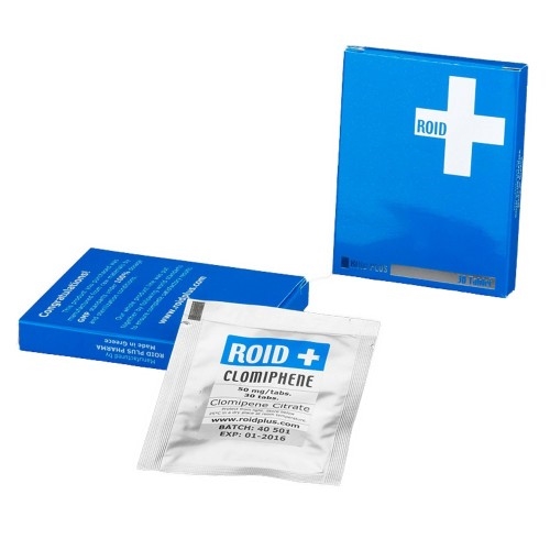 8JeP7w6YjkLBoxewY8WV-1