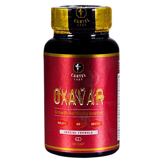 E1gP3NYHgwVAMHelaPao-1