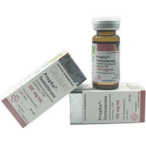 eFqpq6l25dExErzJbpwy-1